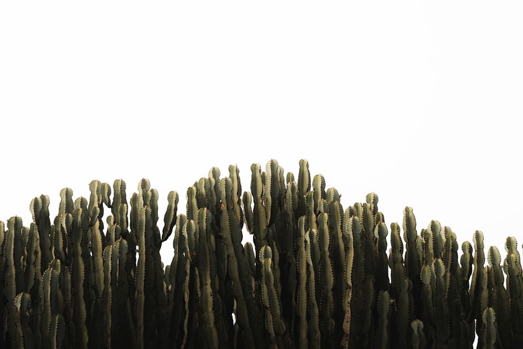 数字+非遗！泉州开发区打造工业旅行新手刺